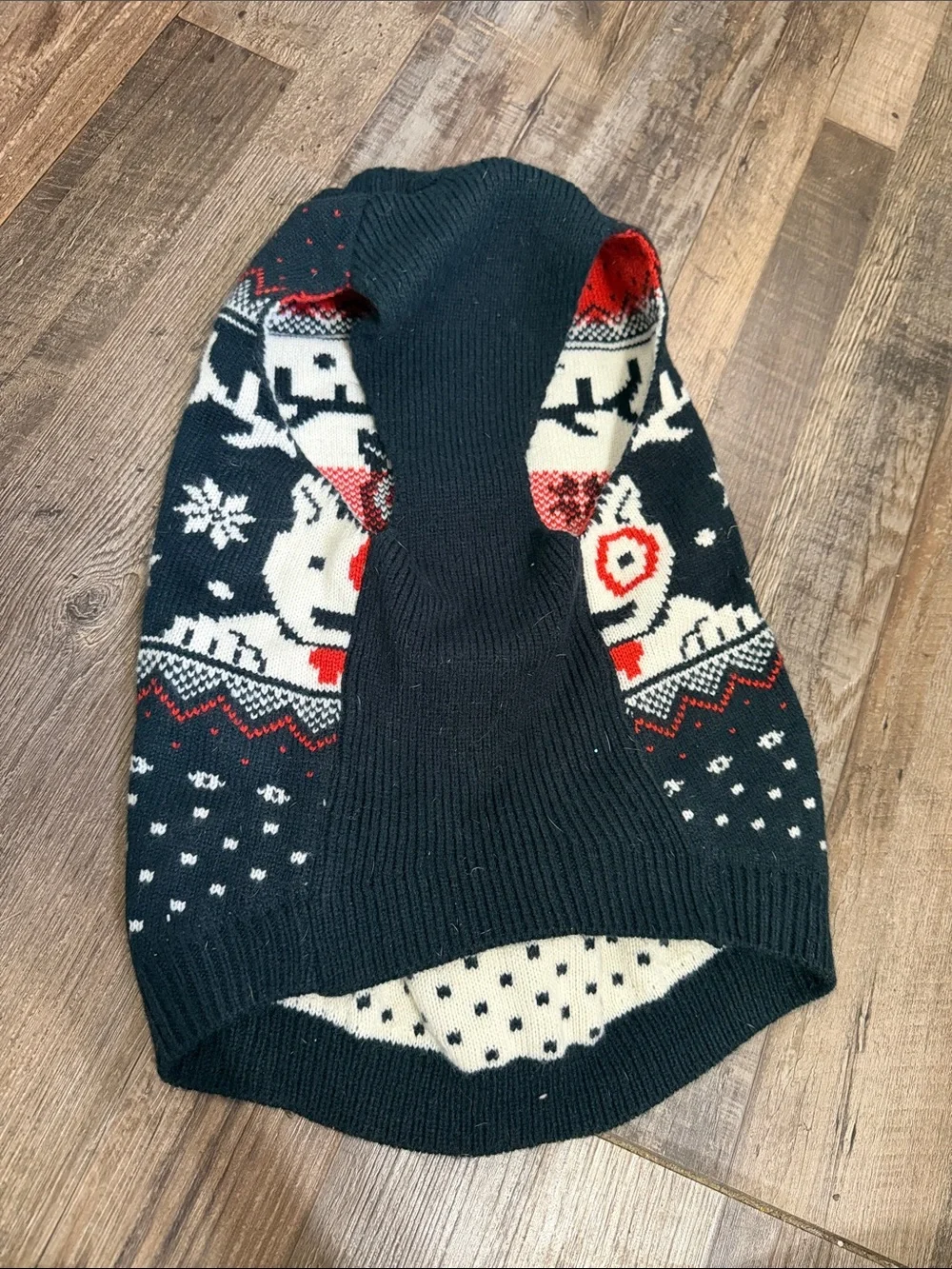 Target Knit Dog Sweater with Red Accents